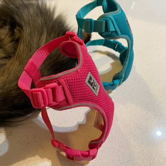 Blue and pink small RC Pets harnesses for cats! - Picture 2 of 3